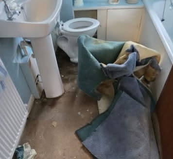 Bathroom floor stripped with old carpet pulled up